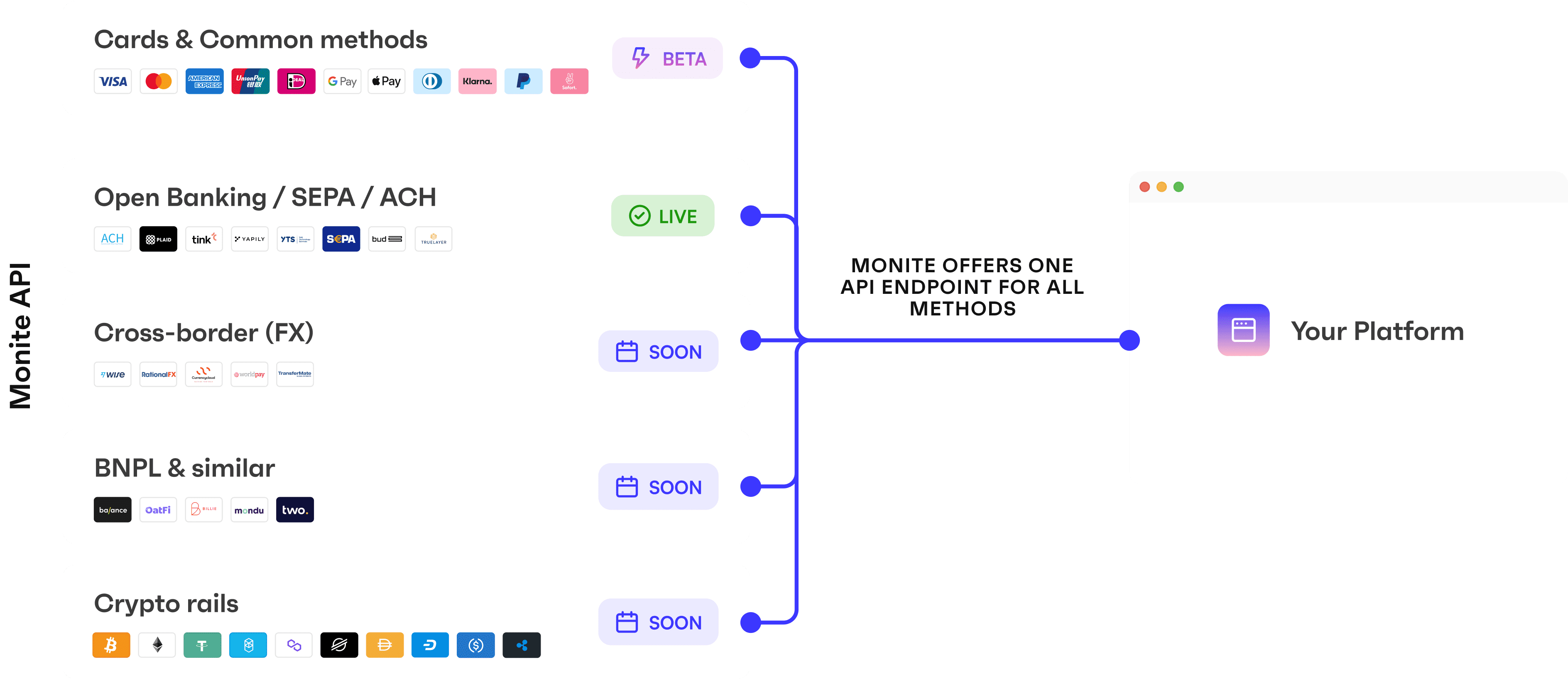 Monite API